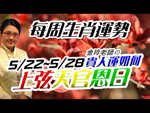 2023生肖運勢週報｜5/22-5/28｜金玲老師｜測字：近期貴人運如何?（有字幕）
