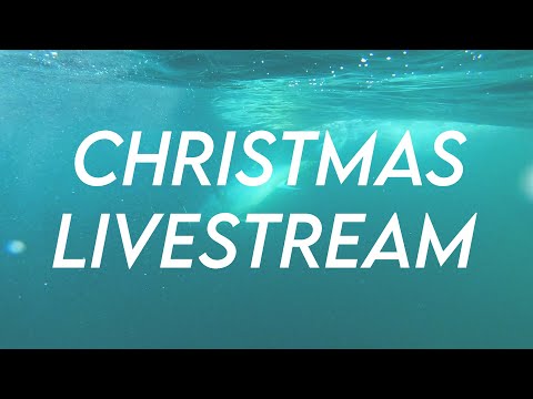 Christmas Livestream! (Season 4 preview)