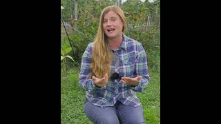 Day 11 Changes Everything For Your Chicks 🧠 #shorts