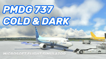 PMDG 737 MSFS - Easy Cold & Dark Start Tutorial