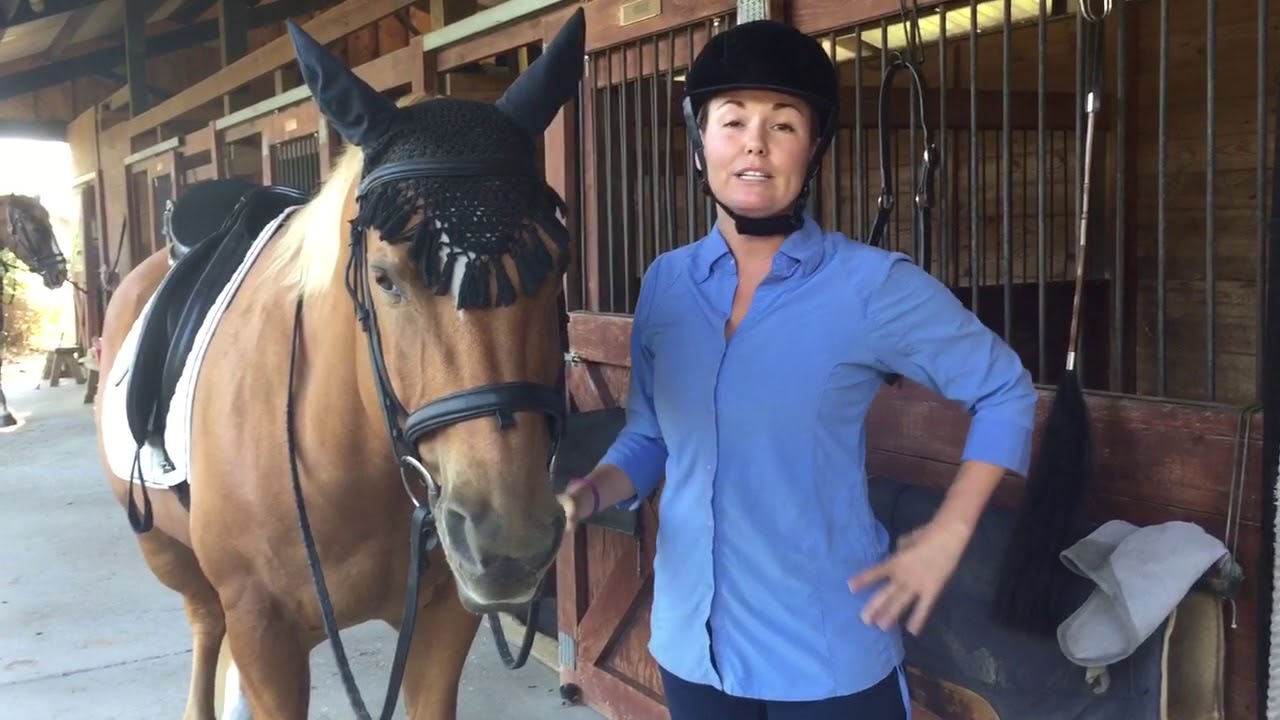 Sea Horse Stables Aiken SC YouTube