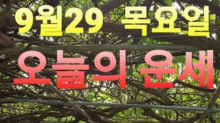 9월29(목요일)오늘의운세sbs백년손님운세출연313회mbc국운출연ㆍ전포항대학사주명리학과교수ㆍ간인물등다수언론등…