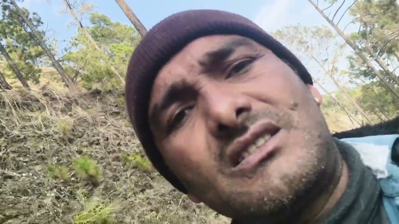 ये देखो भाई ये क्या हो रहा है 