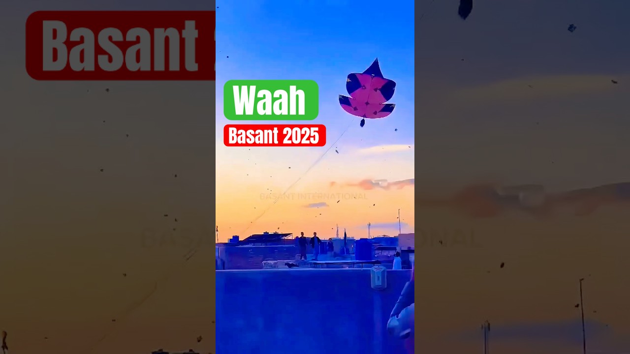 Basant Rawalpindi 2024 Big kite flying 