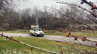 Consumers Energy: Ice storm brought down more than 8,000 power lines