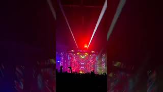 sunday vibes with amazing show ??? shorts edm music rave night performance festival