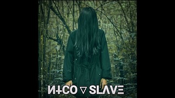 И⸸CO▽SLΛVΞ - OF 2 D 3 🅰️ D SIBLINGS -