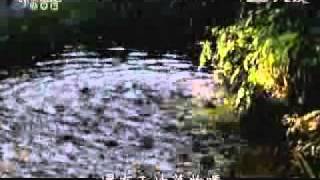 20101124-2《靜思晨語。慈濟宗門》《法華經》王舍城的由來(二)