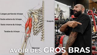 COMMENT AVOIR DE GROS BRAS ? TRICEPS