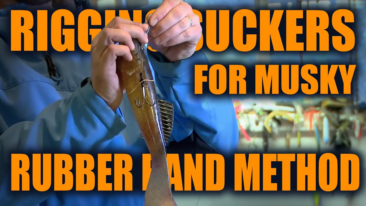 Rigging Suckers for Musky (Rubber Band Method) YouTube
