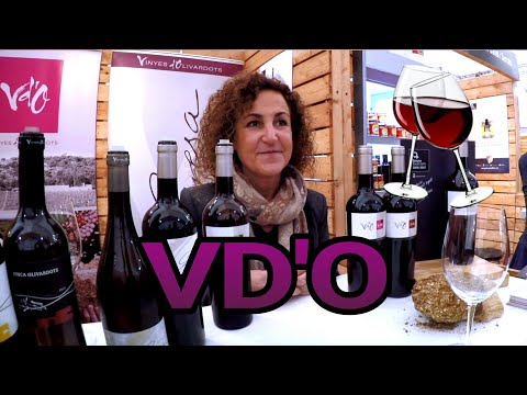 Vídeo: Què és el outlet de vinyes?