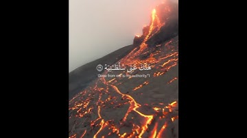 اللهم اجرنا من عذاب النار #يا_ليتها_كانت_القاضية #ياسر_الدوسري #تلاوة_خاشعة #قرآن #quran #قران_كريم