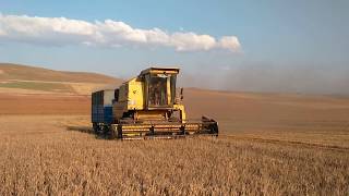 Patozlu New Holland 8060 İle Tarla Biçimi