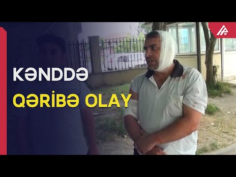 Astarada eşşək kişinin qulağını qopartdı - APA TV