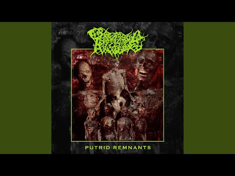 Cryptic Rising — A Convalescent Season