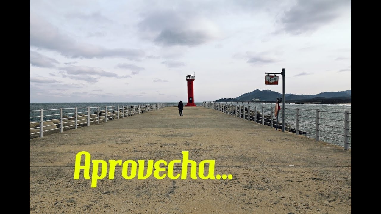 meditacion para principiantes ENCUENTROS DESPERDICIADOS. Martes V semana del Tiempo Ordinario, ciclo C (Mc 7,1-13)