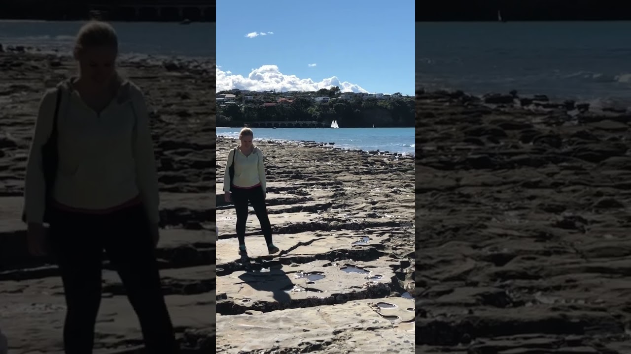 Low tides, Auckland, New Zealand 🇳🇿 🌊😍