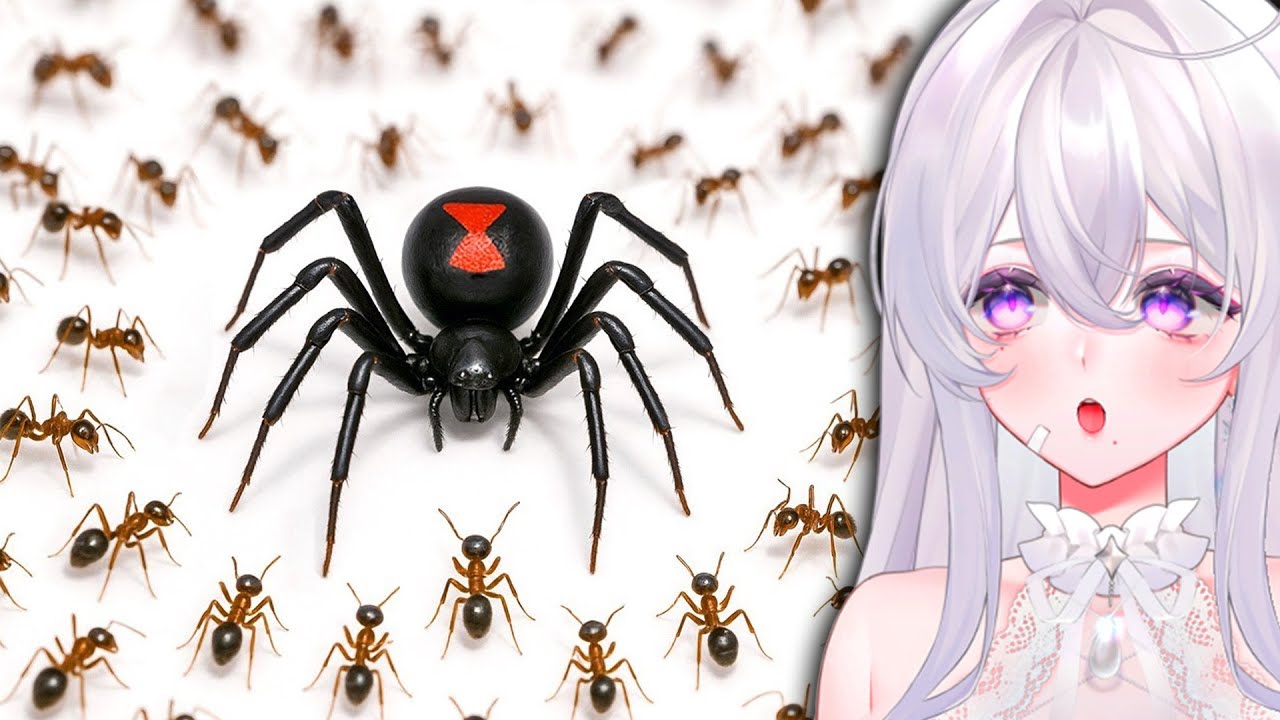 1000 Ants vs. Black Widow is INSANE