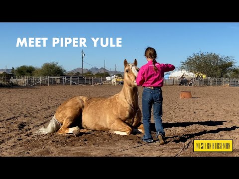 Class Act with Piper Yule