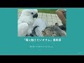 『猫に触りたいオウム』〜最終回〜猫に対してしつこいです