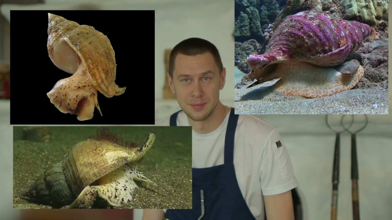 Как стать шеф-поваром? ll  Паршенков Руслан шеф-повар ресторана RUSKI \ Трубач с басмати