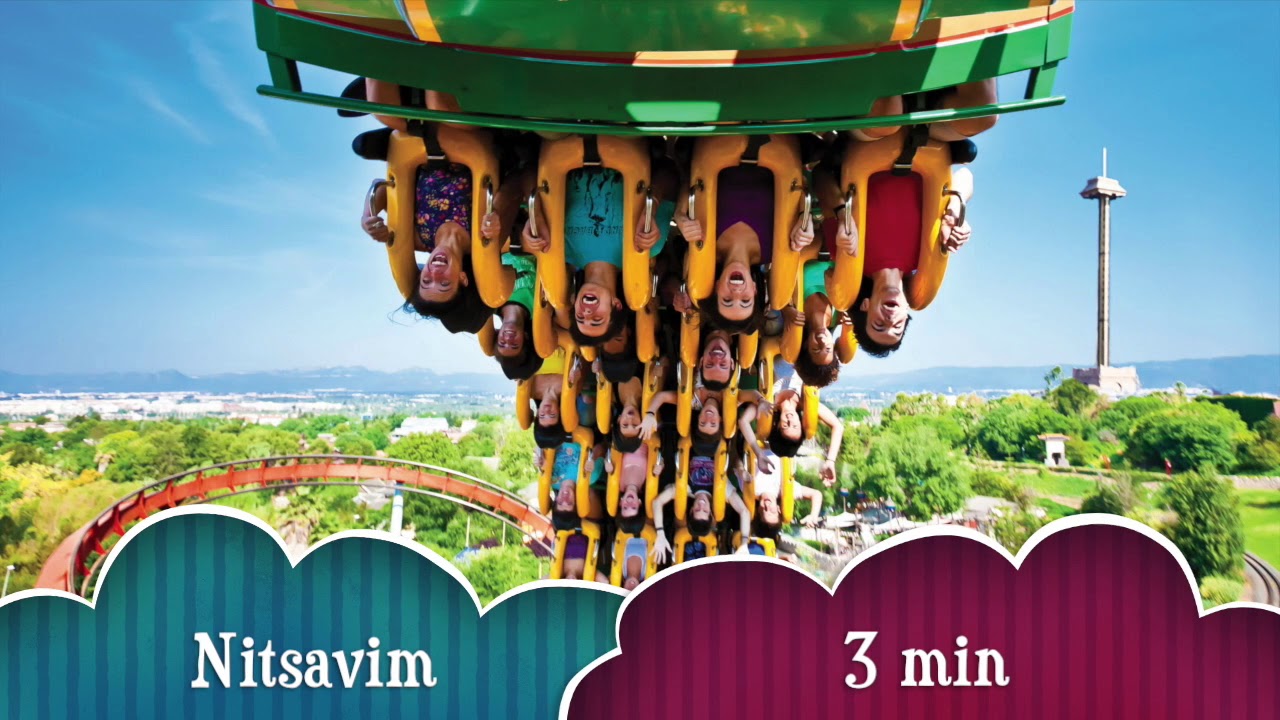 Disneyland- Nitsavim