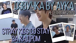 [Русская озвучка by Ayka] Stray Kids 📷 With STAY За кадром｜Неделя STAY 2023