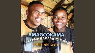 Yinkunzi Yomthakathi