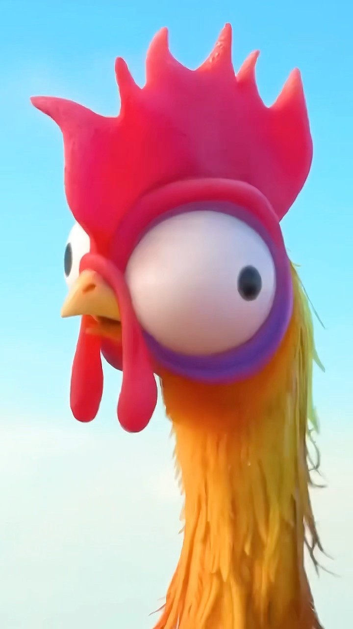 O GALO DOIDO DA MOANA #shorts