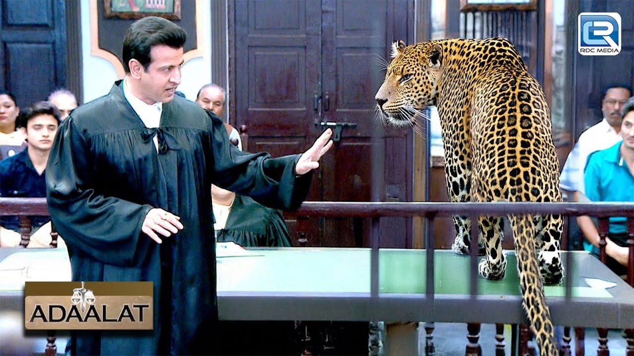 एक Khatarnak Animal घुसा KD Pathak के Court में | अदालत | Adaalat | New Latest Full Episode HD