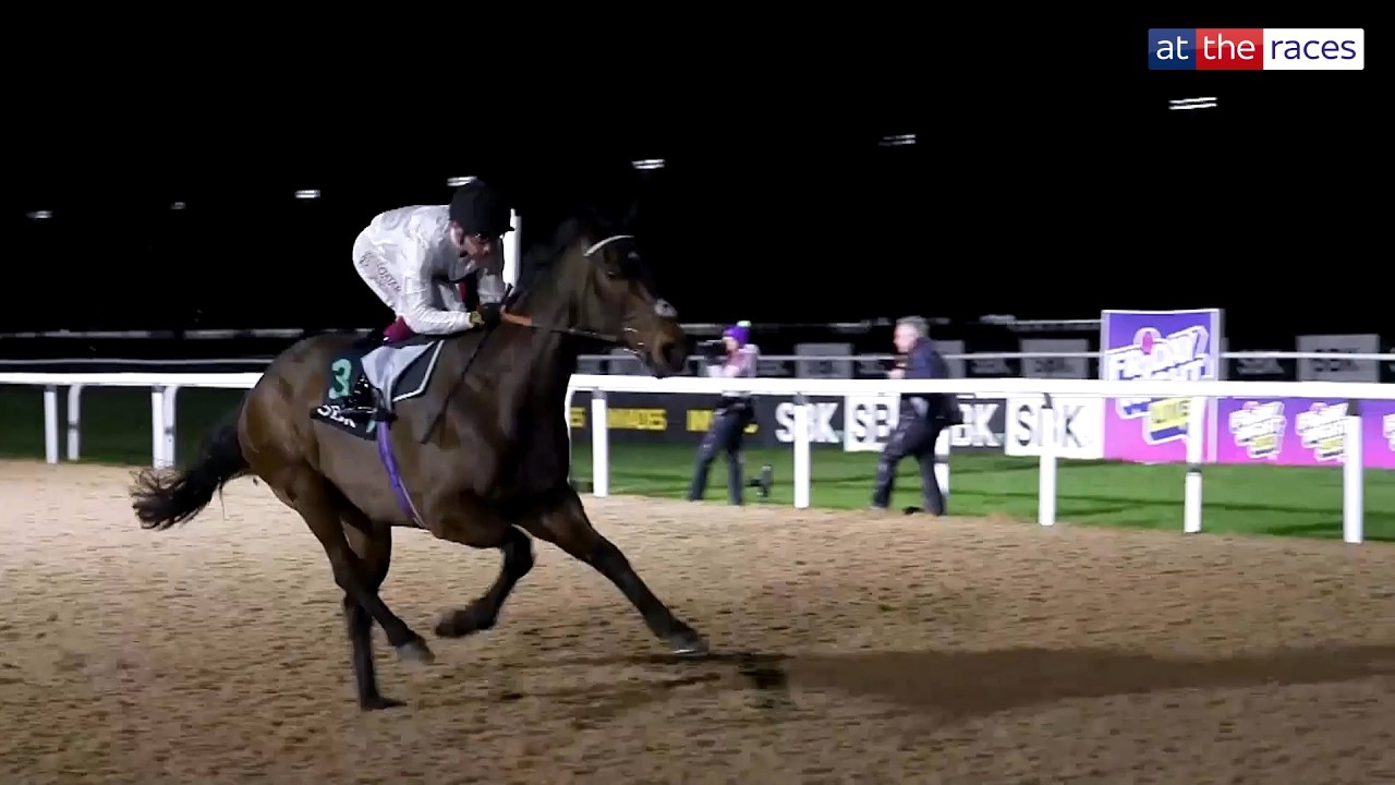 КАКАЯ НОЧЬ! | За кулисами незабываемого дебюта команды CONSTITUTION HILL на плоских дорожках в Са...