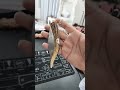 افخم مطوه قرن غزال افخم مطوه قرن غزال