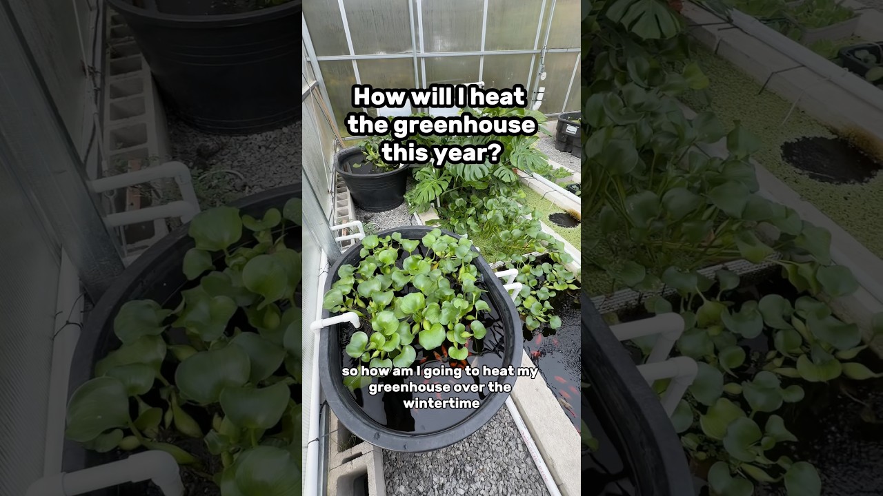 How will I heat my greenhouse this year?