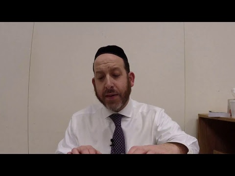 Avodah Zara 29