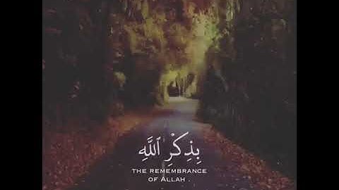الَّذِينَ آمَنُوا وَتَطْمَئِنُّ قُلُوبُهُم بِذِكْرِ اللَّهِ ۗ أَلَا بِذِكْرِ اللَّهِ  (28)سورة الرعد