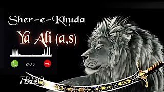 Mera Maula Haider Haider | Ringtone 🎶🔥