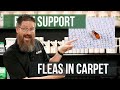 What's the Best Way to Treat Fleas in Carpet? | Pest Support