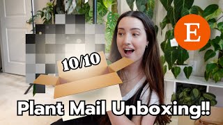 Unbox New Plant Mail with me from Etsy! SO IMPRESSED!