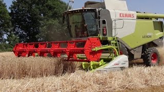 La moissonneuse-batteuse CLAAS Lexion 650 en action