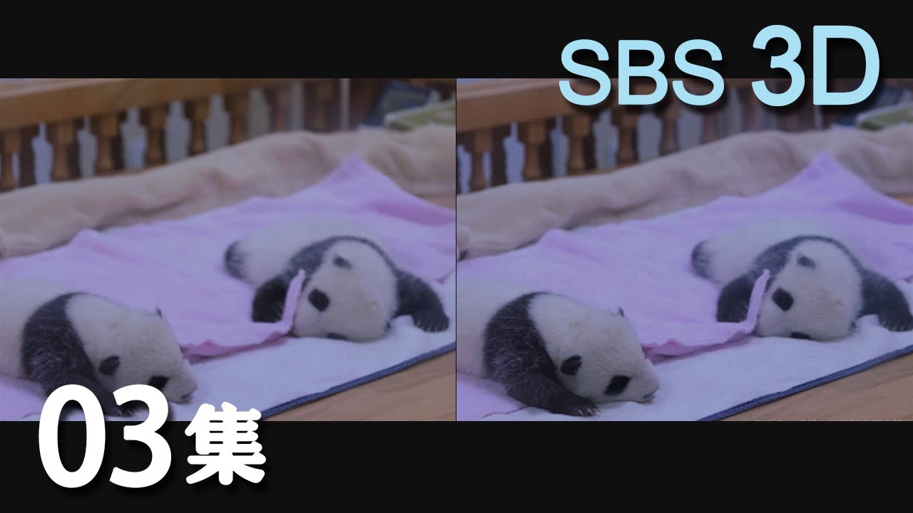 Panda Space 30min Episode03 熊猫空间03集 Youtube