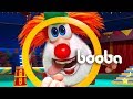 Booba ⭐ Yeni bölümler 🐯🦁 Circus Adventure - Sirk Macerası 😛 Delerme ⭐ Bebekler için çizgi filmler