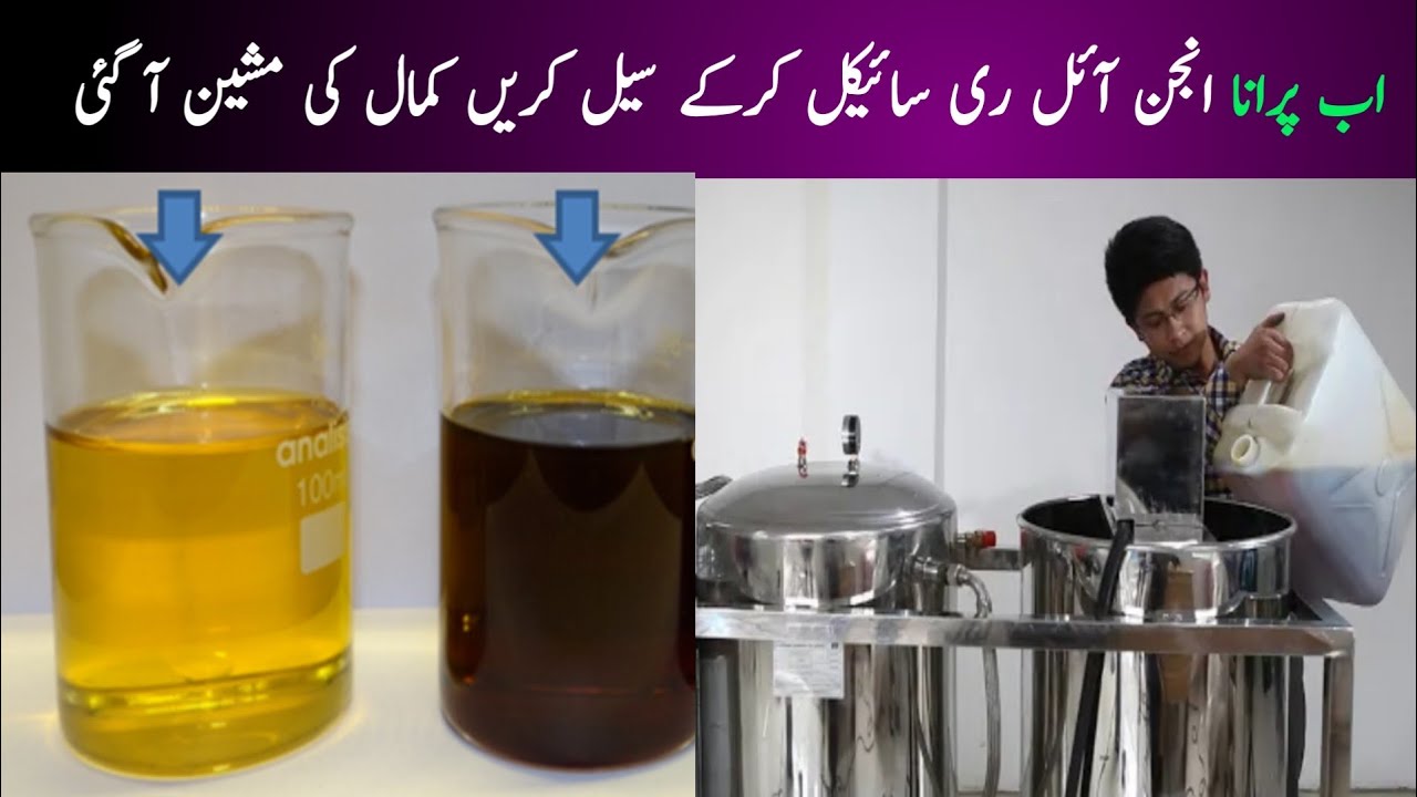earn money from cooking oil recycling business/ in 2023 YouTube
