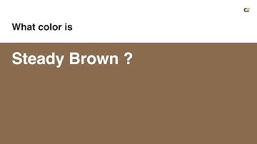 Steady Brown color #8a6b4d hex color - Brown color - Cool color 8a6b4d