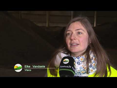 Video: Werfafval als compost: kan ik groenafval composteren