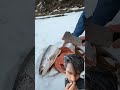 trending 🤢 shorts. fishing 🎣🔥#fishing #trendingshorts #viralvideo #shortvideo