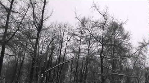 Dale Stephens - When She is Sleeping (video by mrsdelirium)