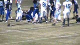 Riverview Sharks