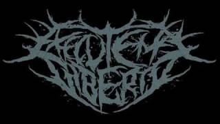 Most Brutal Underground Deathcore Breakdown video Part Three