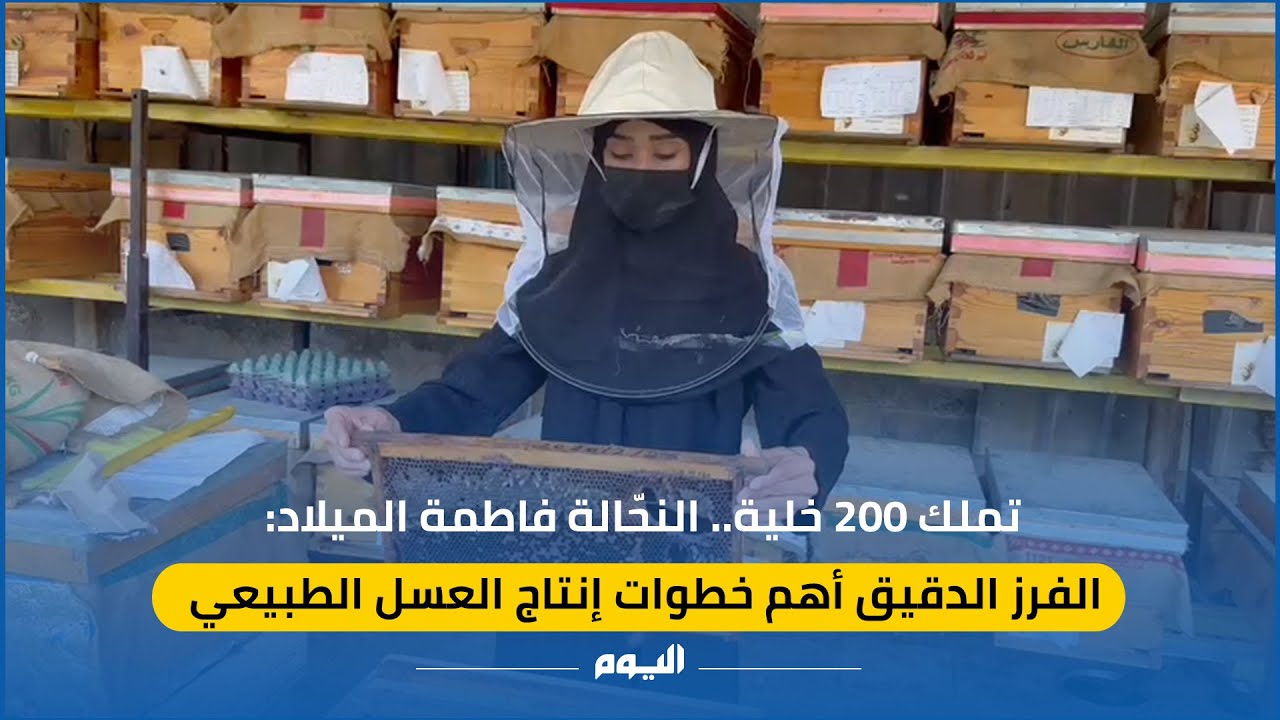 تملك 200 خلية.. النحّالة فاطمة الميلاد: الفرز الدقيق أهم خطوات إنتاج العسل الطبيعي