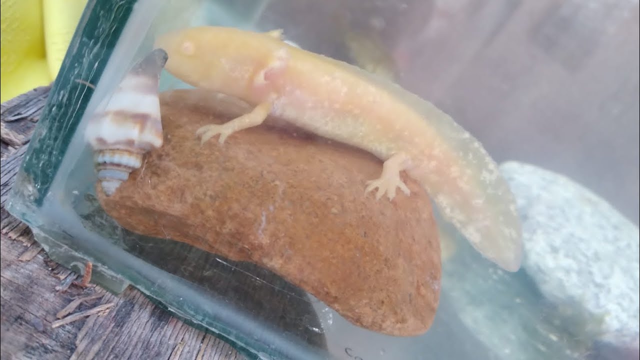 Adiós para siempre ❤️‍🩹.